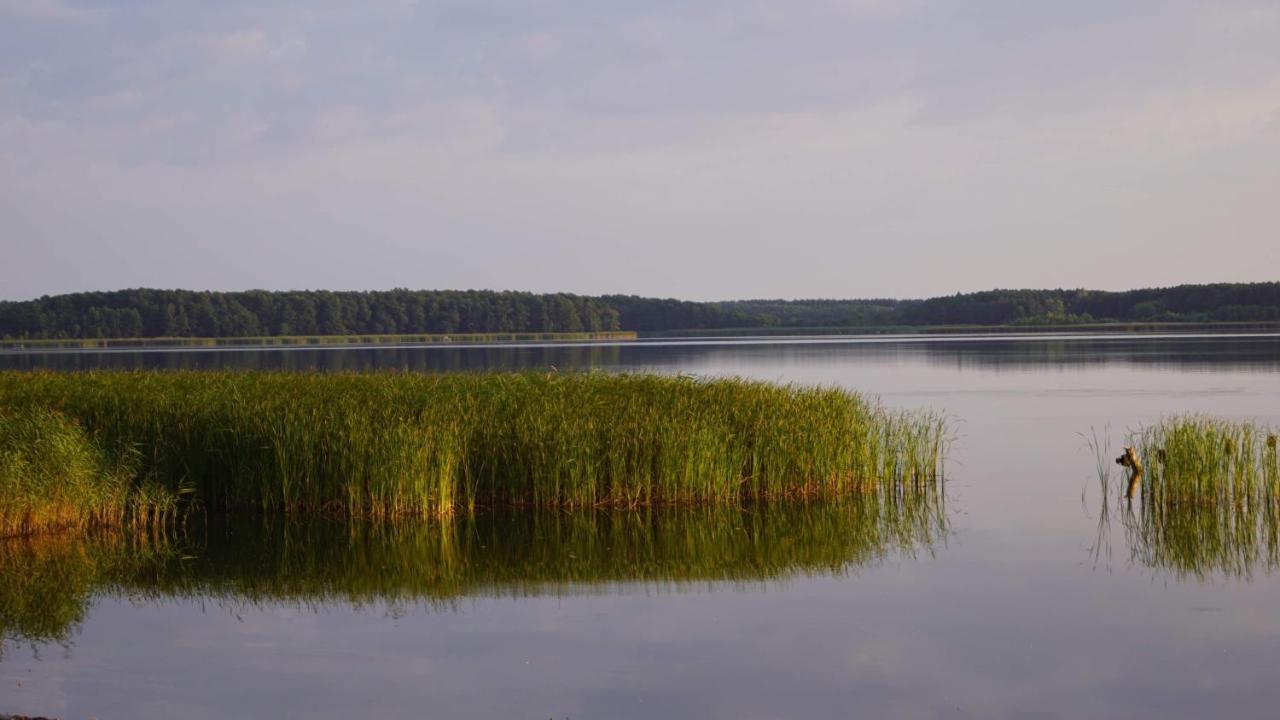 Yacht Club Apartamenty Radzyń Zewnętrze zdjęcie