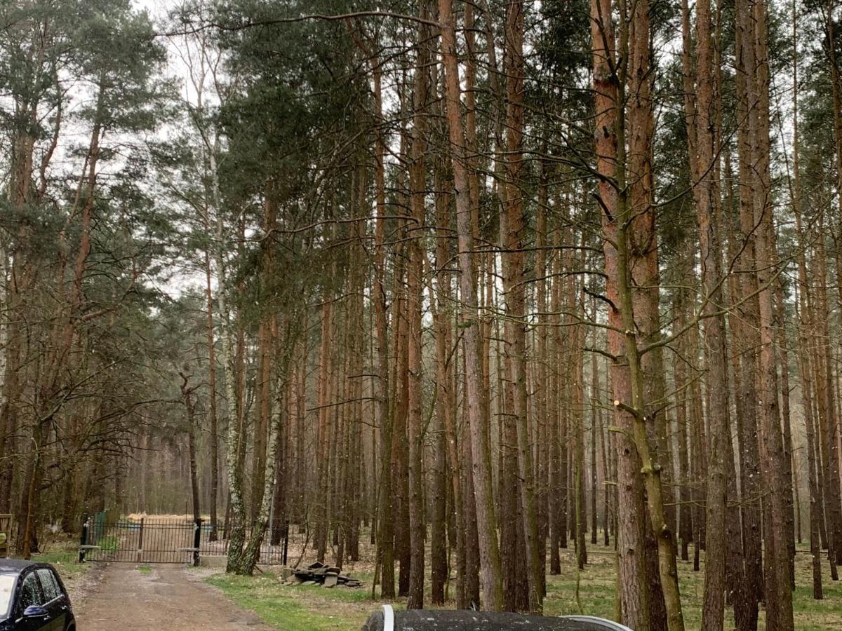 Yacht Club Apartamenty Radzyń Zewnętrze zdjęcie